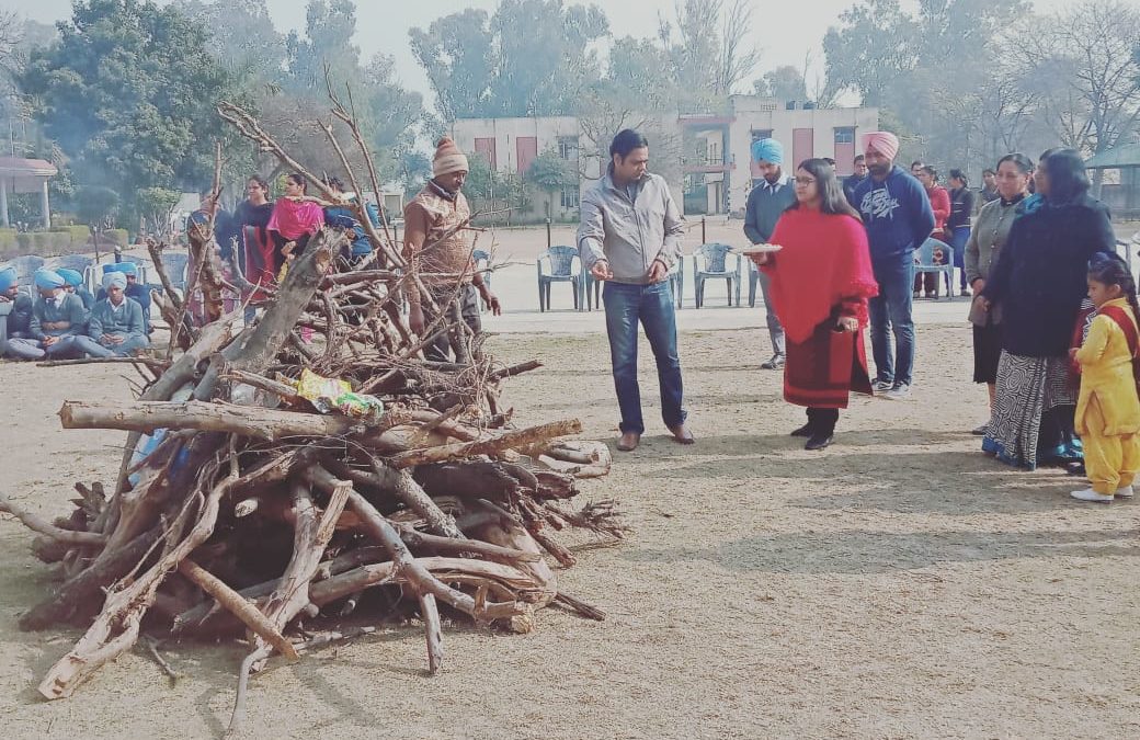 Lohri celebration